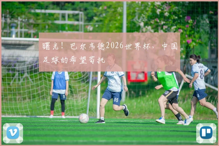 曙光！巴尔韦德2026世界杯，中国足球的希望寄托
