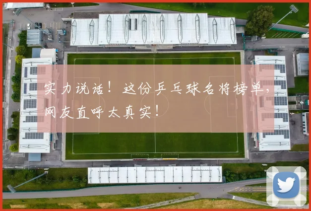 实力说话！这份乒乓球名将榜单，网友直呼太真实！